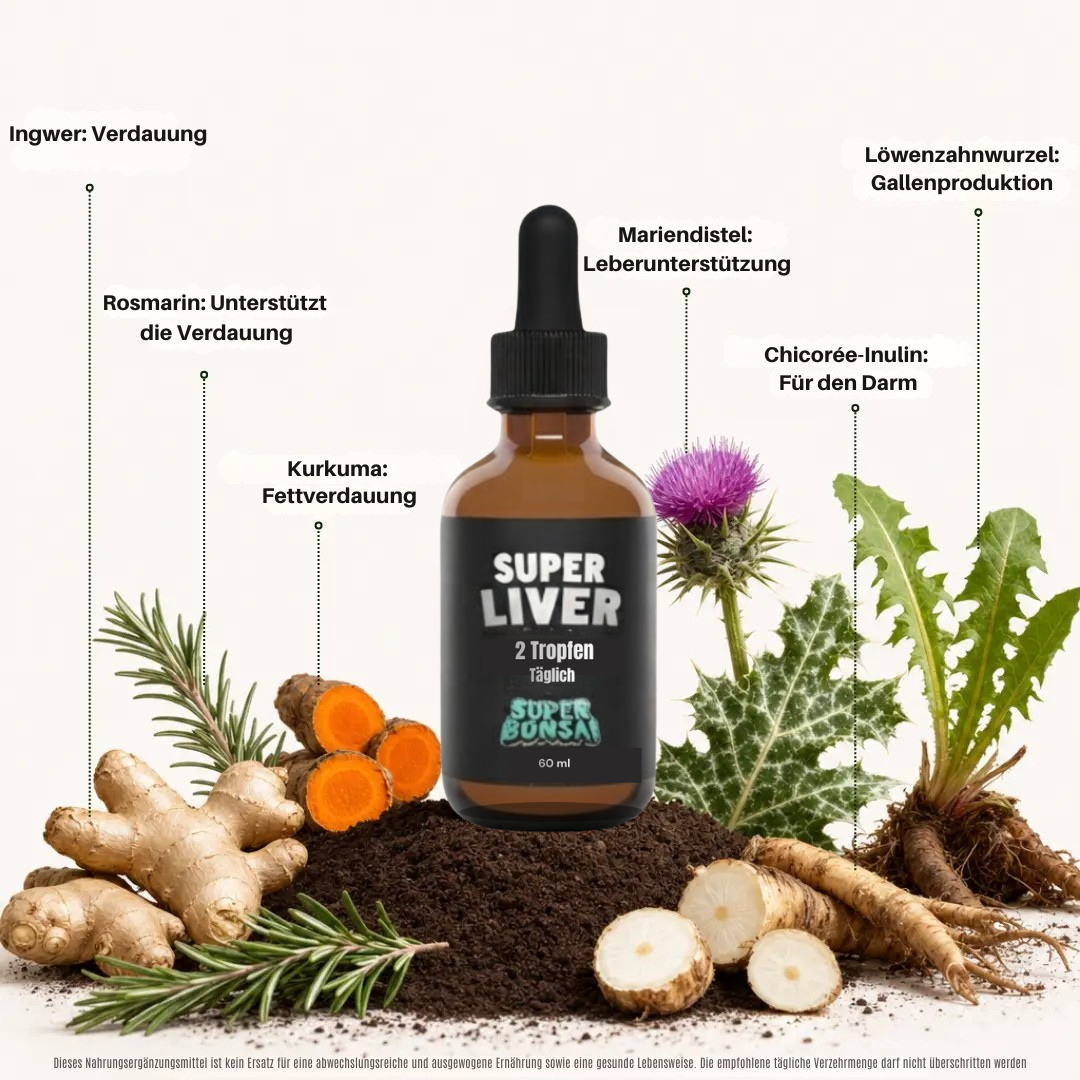 SUPER LIVER | Der 6-Wochen Abnehm-Turbo